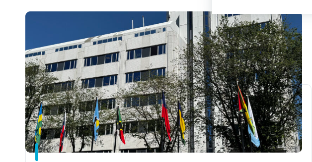Collection Company office in The Hague